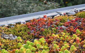 the cost of Mytton green roof installation