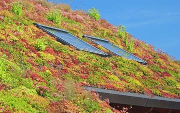 Mytton living roof systems